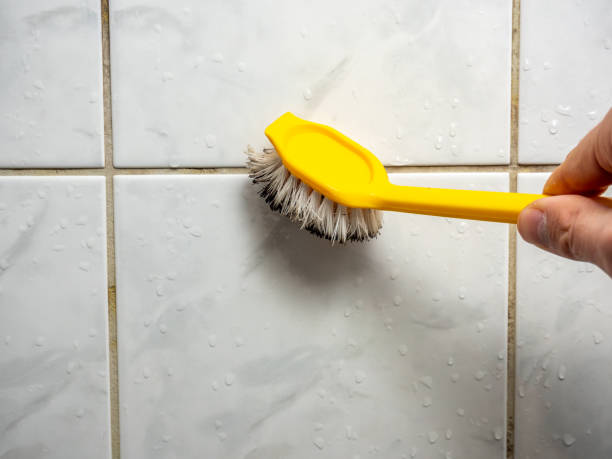 Best Mold Testing  in South Hill, VA