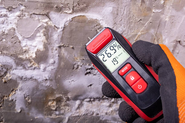 Best Professional Mold Removal  in South Hill, VA