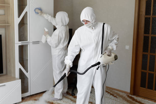 Best Mold Remediation Experts  in South Hill, VA